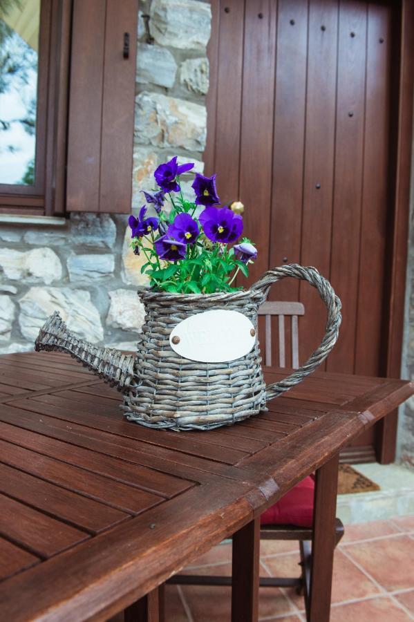 Guesthouse Machi Kato Gatzea Ngoại thất bức ảnh